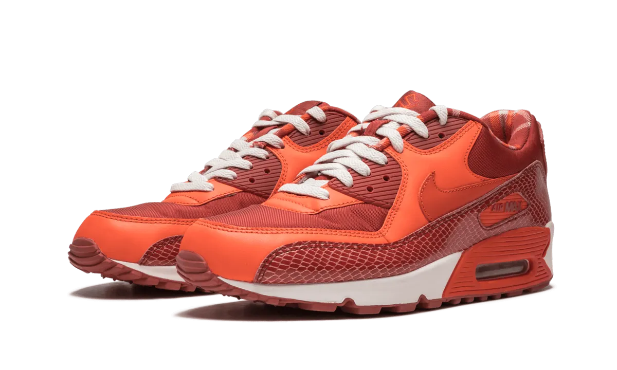 Columbia Newton Ridge Air Max 90 QK "STEVE NASH"