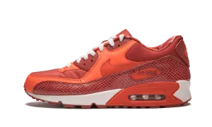 Air Max 90 QK "STEVE NASH" soccer - compatible running shoes