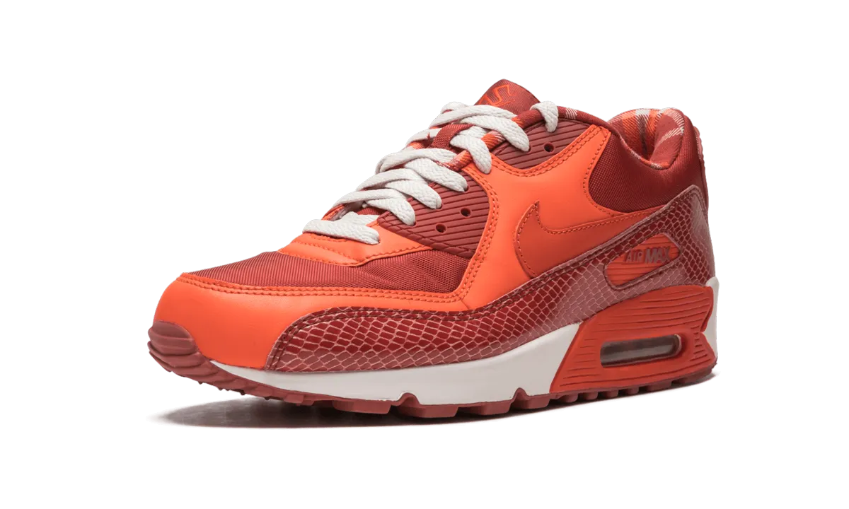 Air Max 90 QK "STEVE NASH" Flexible Arch