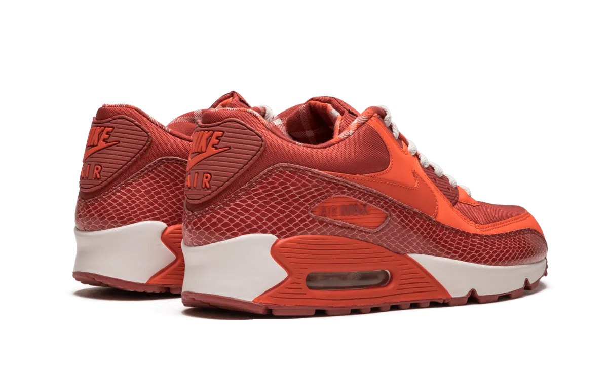 Air Max 90 QK "STEVE NASH" short - distance runners