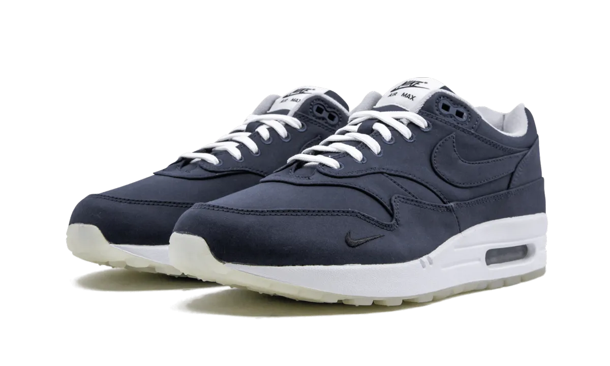 adventure running option Air Max 1 "DSM"