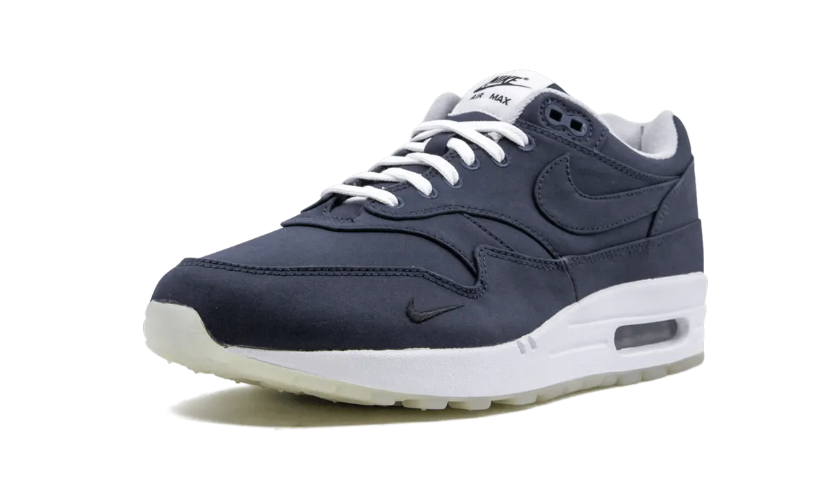 Air Max 1 "DSM" Rainy running shield