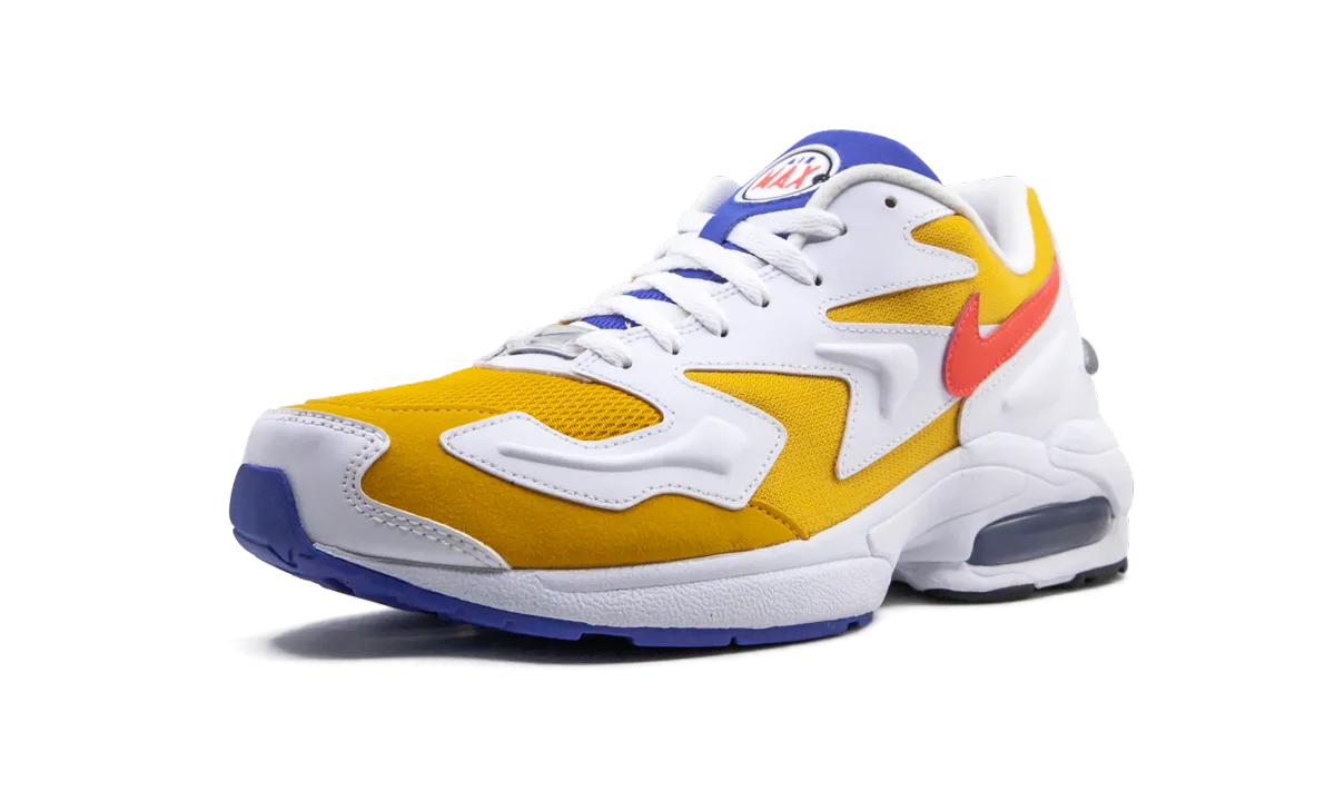 supination - control shoes Air Max 2 Light