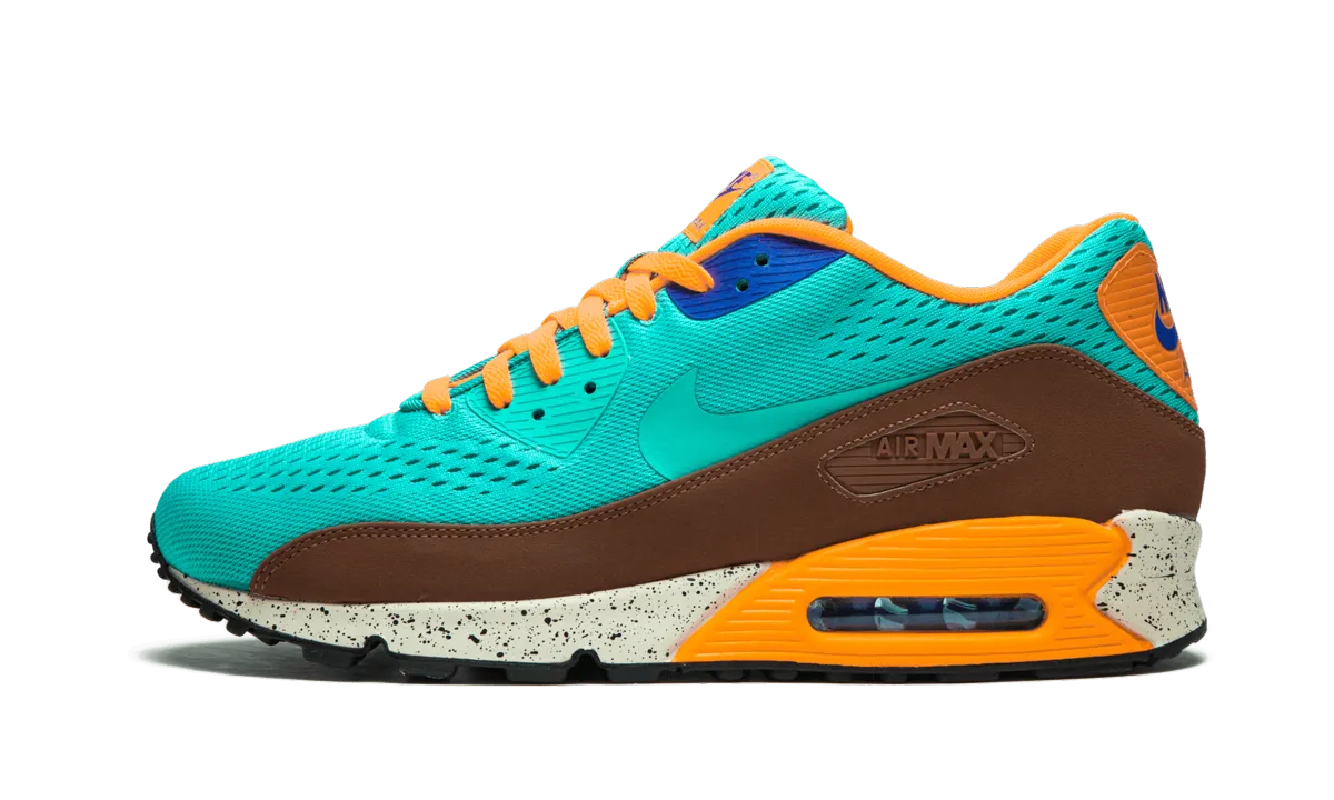 Air Max 90 EM running in a mesa area shoes sports activities