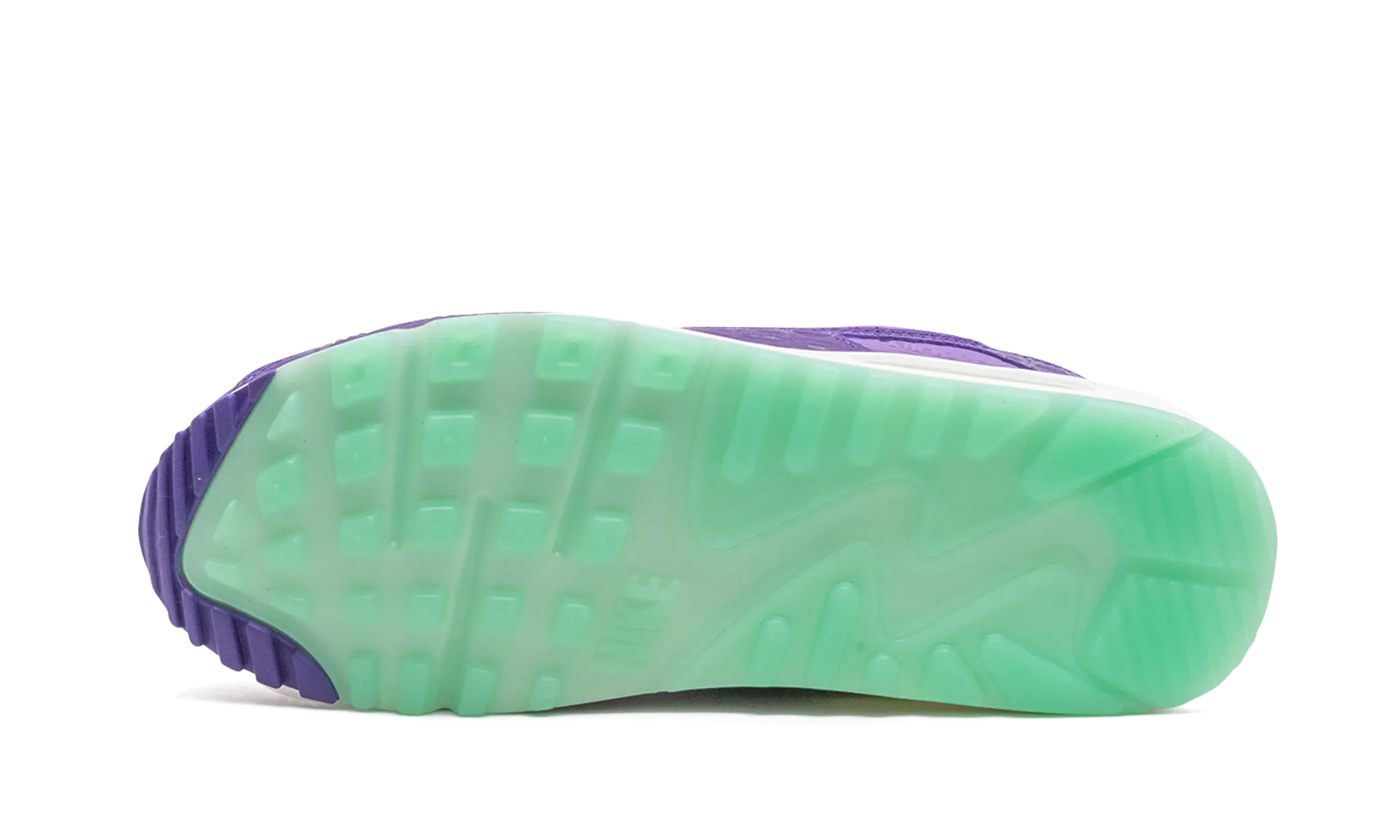 waterproof aerodynamic shoes Air Max 90 "Animal Pack - Violet Blend"