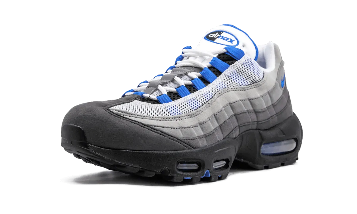 blue shoes Air Max '95