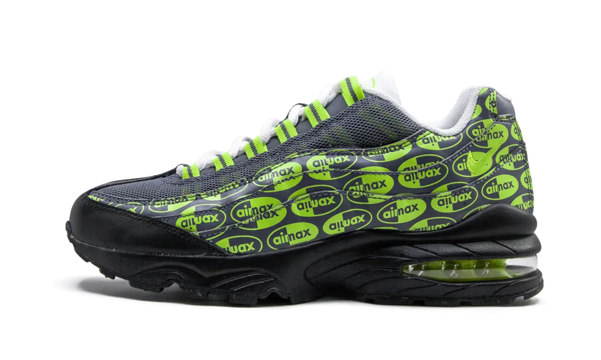 Air Max 95 SE (GS) Agile