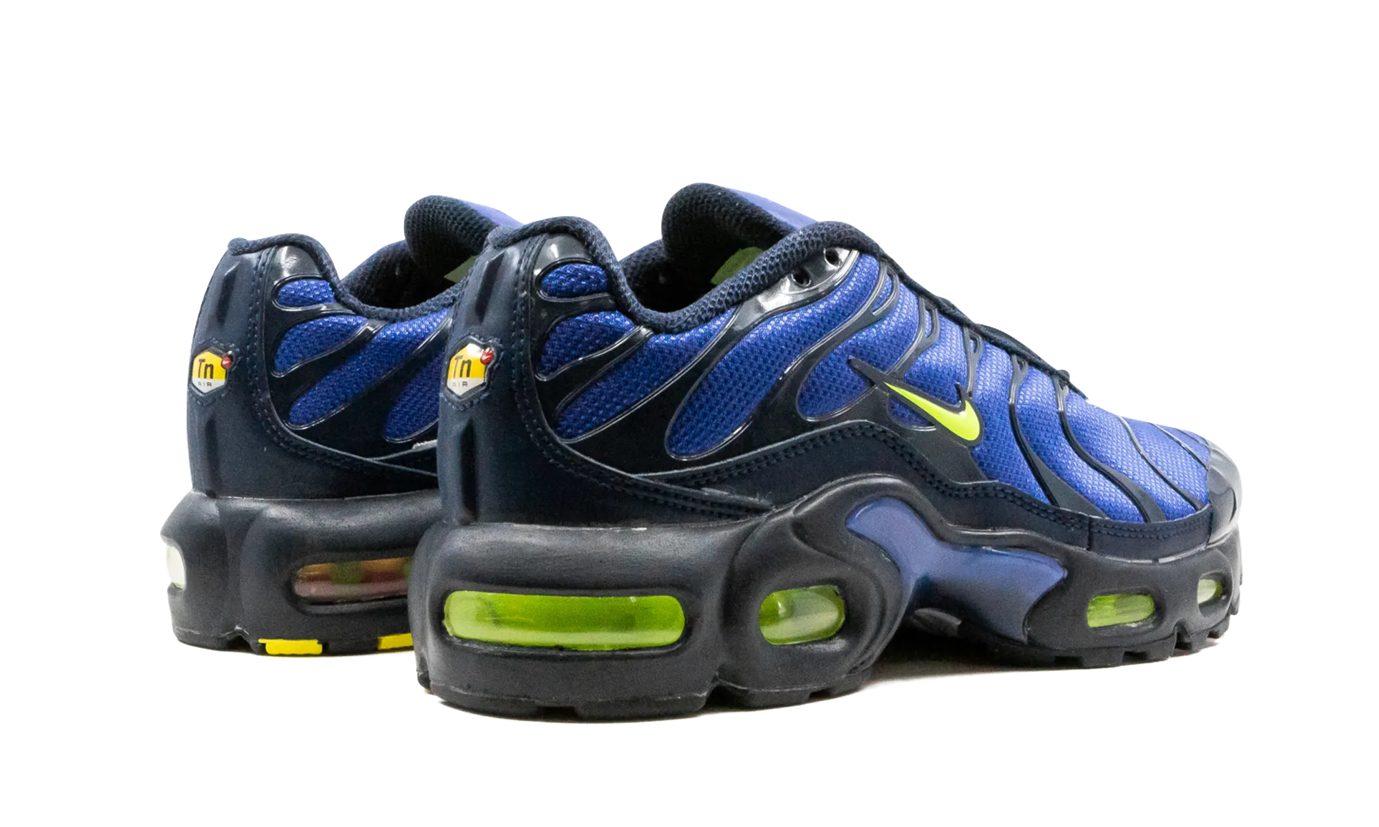 Motion Zone Air Max Plus (GS)