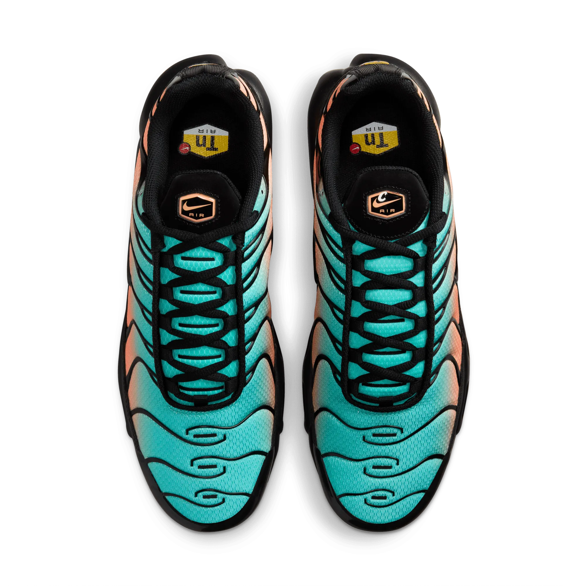 student Air Max Plus 'South Beach'