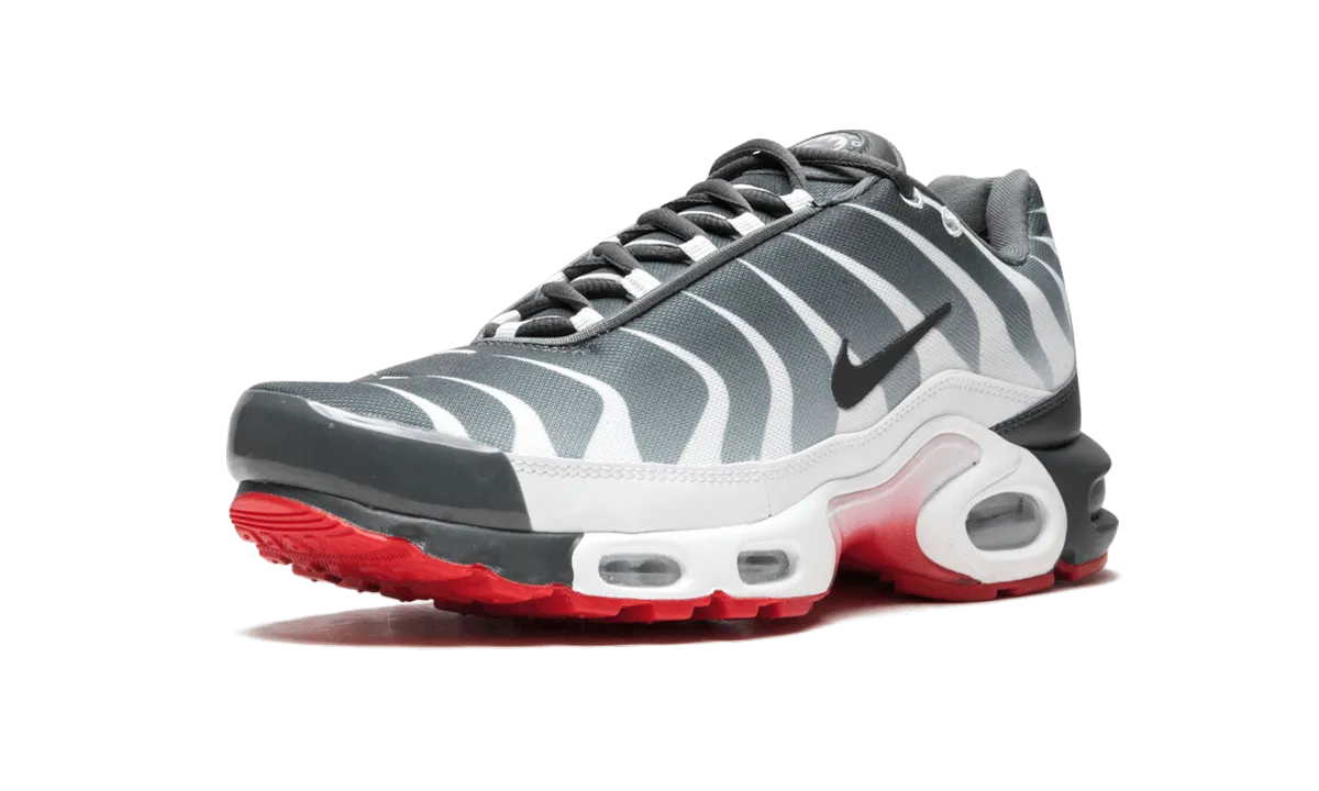 Air Max Plus TN SE Zip Up quick - dry running shoes