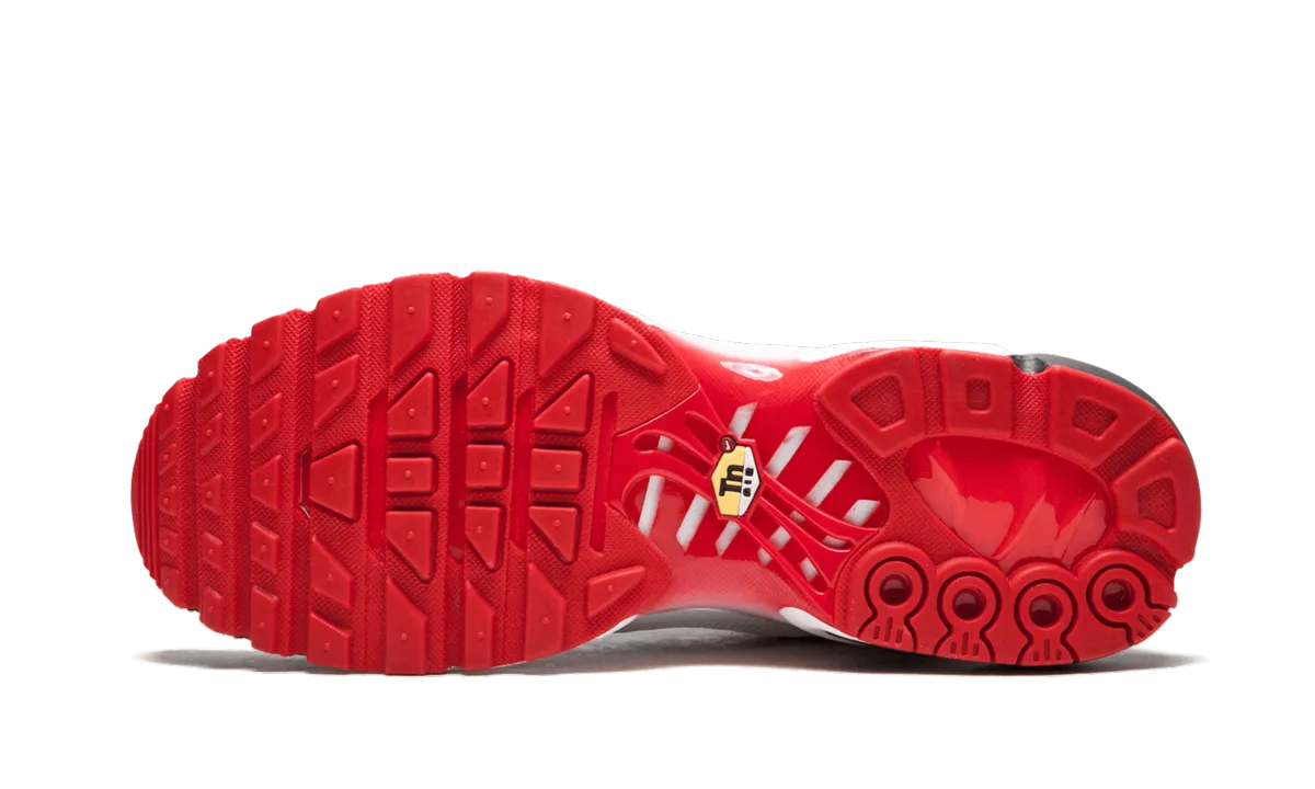 Air Max Plus TN SE Cool Down Durable - stitching