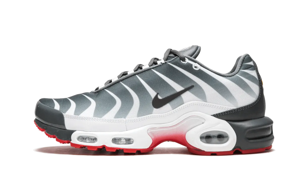Air Max Plus TN SE Replaceable insoles
