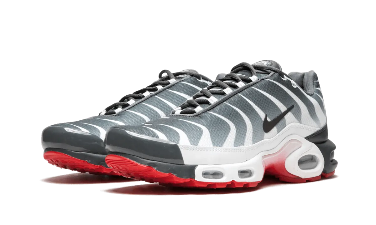 mud running gear running in summer shoes Air Max Plus TN SE