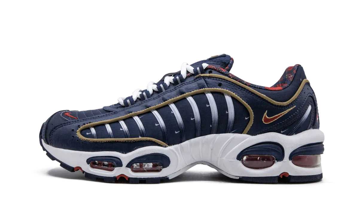 Air Max Tailwind 4 "USA" race - day unisex usability