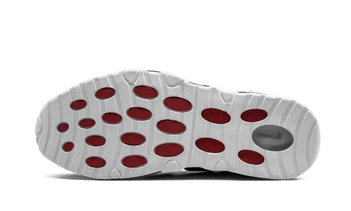 Air Max Uptempo '95 "Bulls" Sports - specific