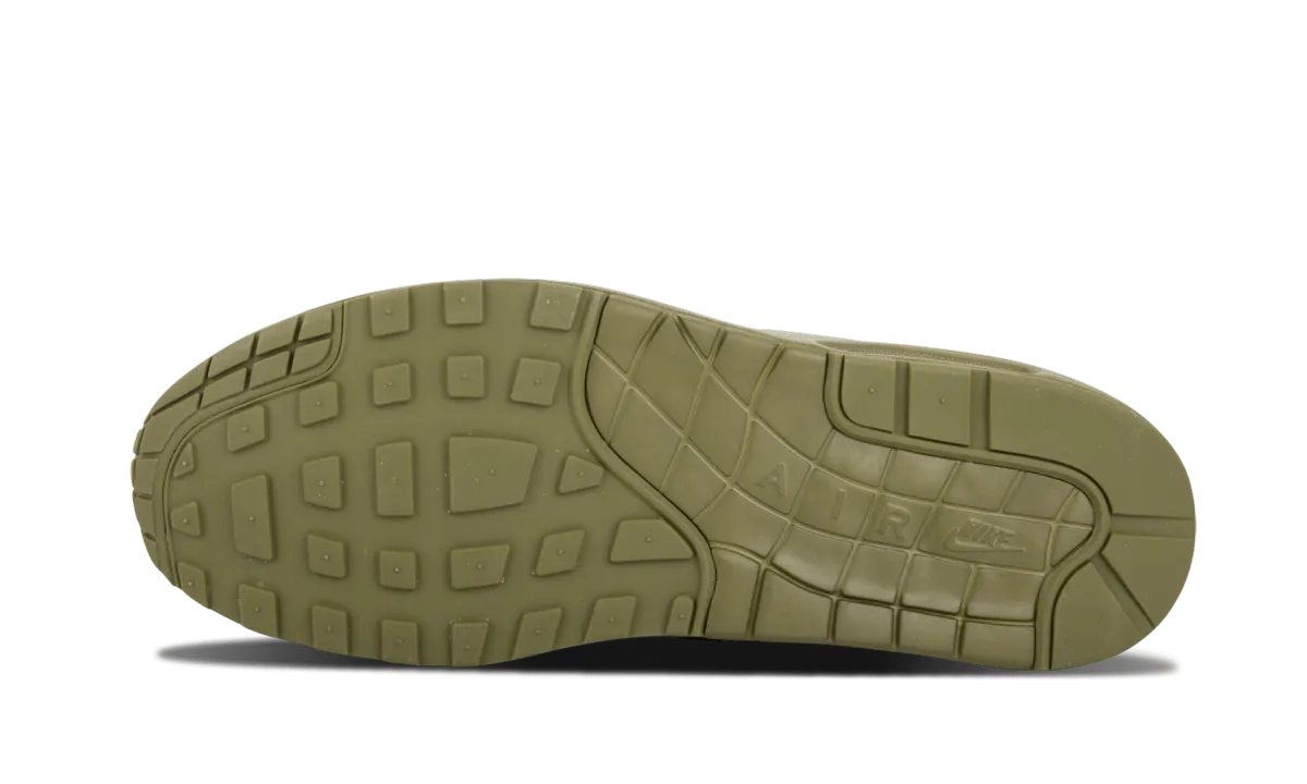 supination - control shoes Air Maxim 1 France SP "France"