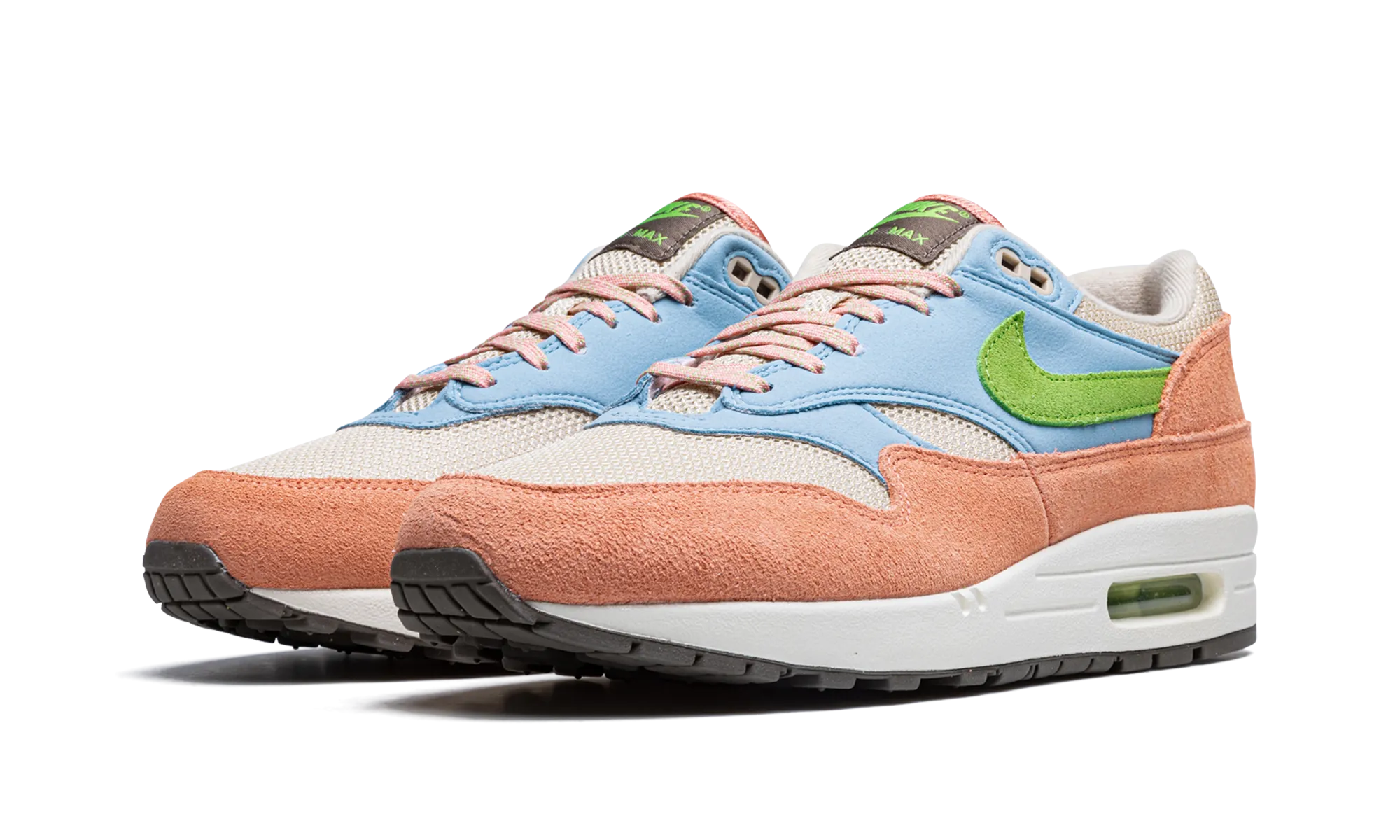 Foot Security Air Max 1 "Light Madder Root"