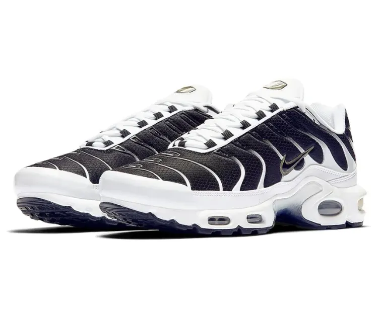Easy Clean Surface Rigidity to Flex Ratio Men's Nike Air Max Plus TN (Killer Whale)