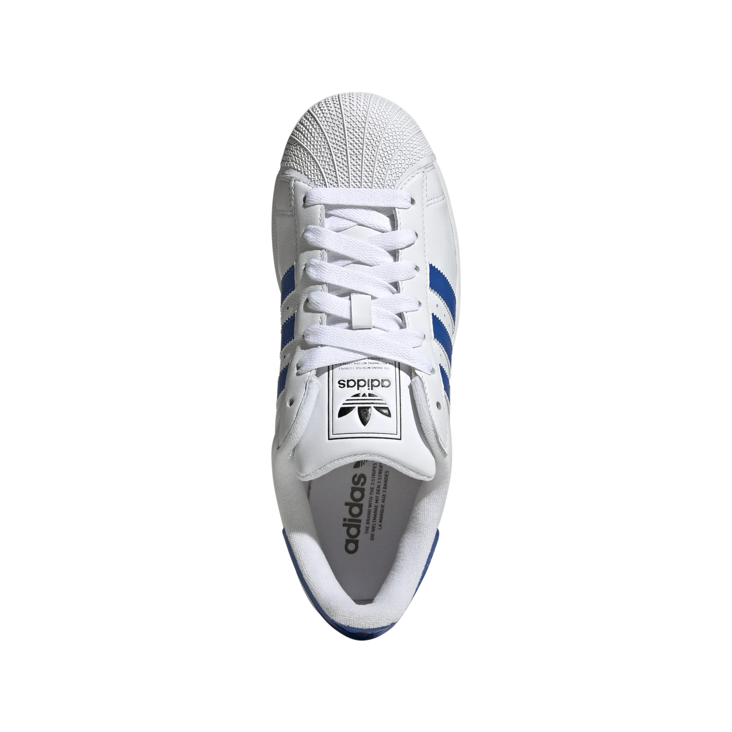 bright - colors Superstar II 'White Blue'