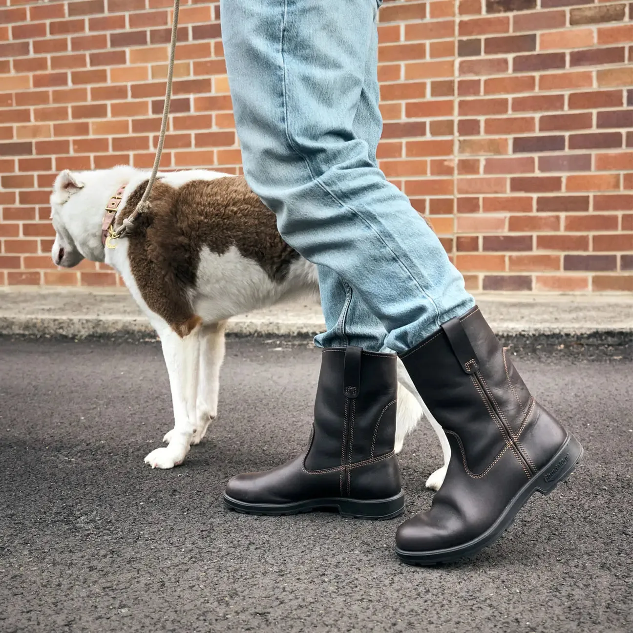 Neutral Tone Wide Range Blundstone Rigger Boot - 2528