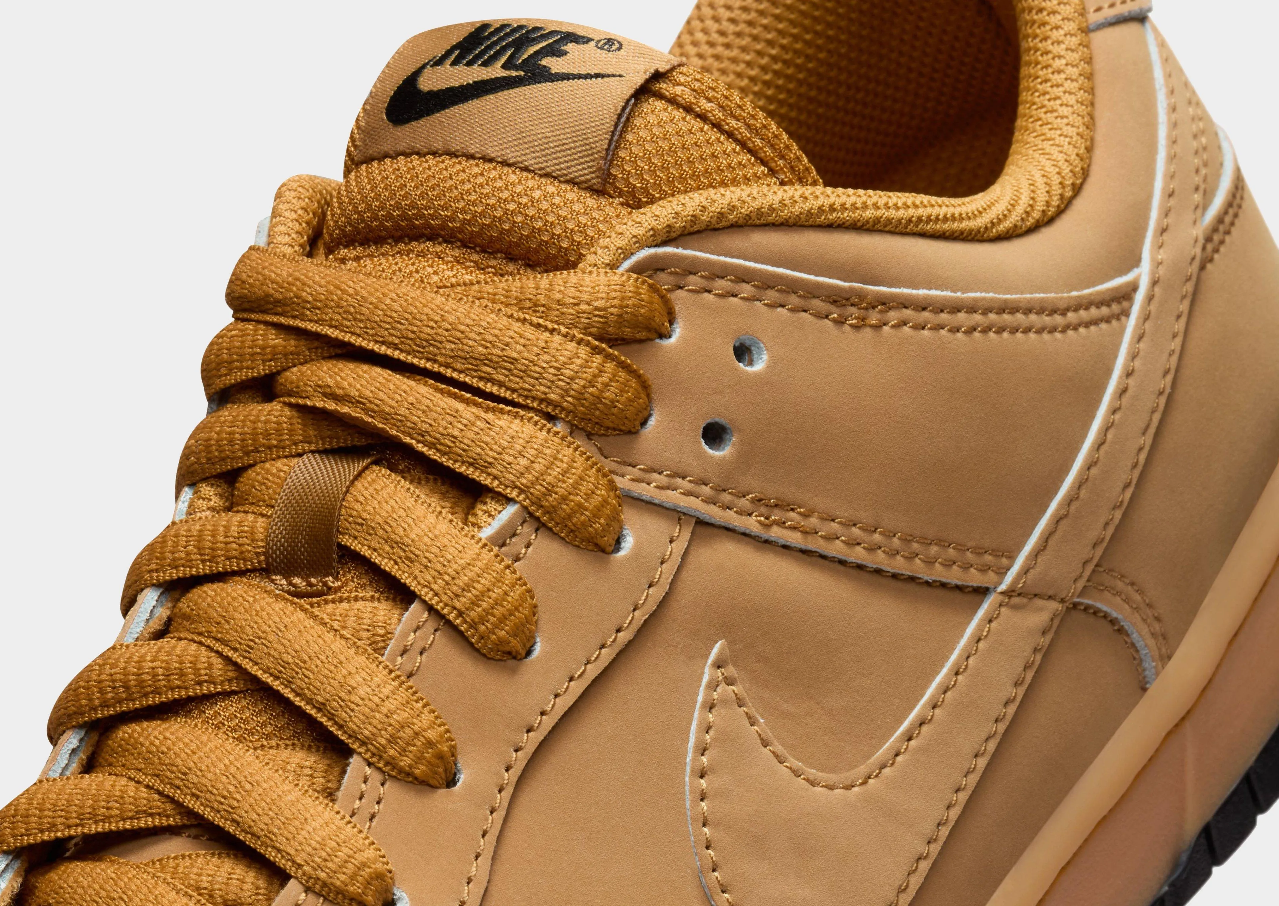 Canyon Path Dunk Low Retro SE