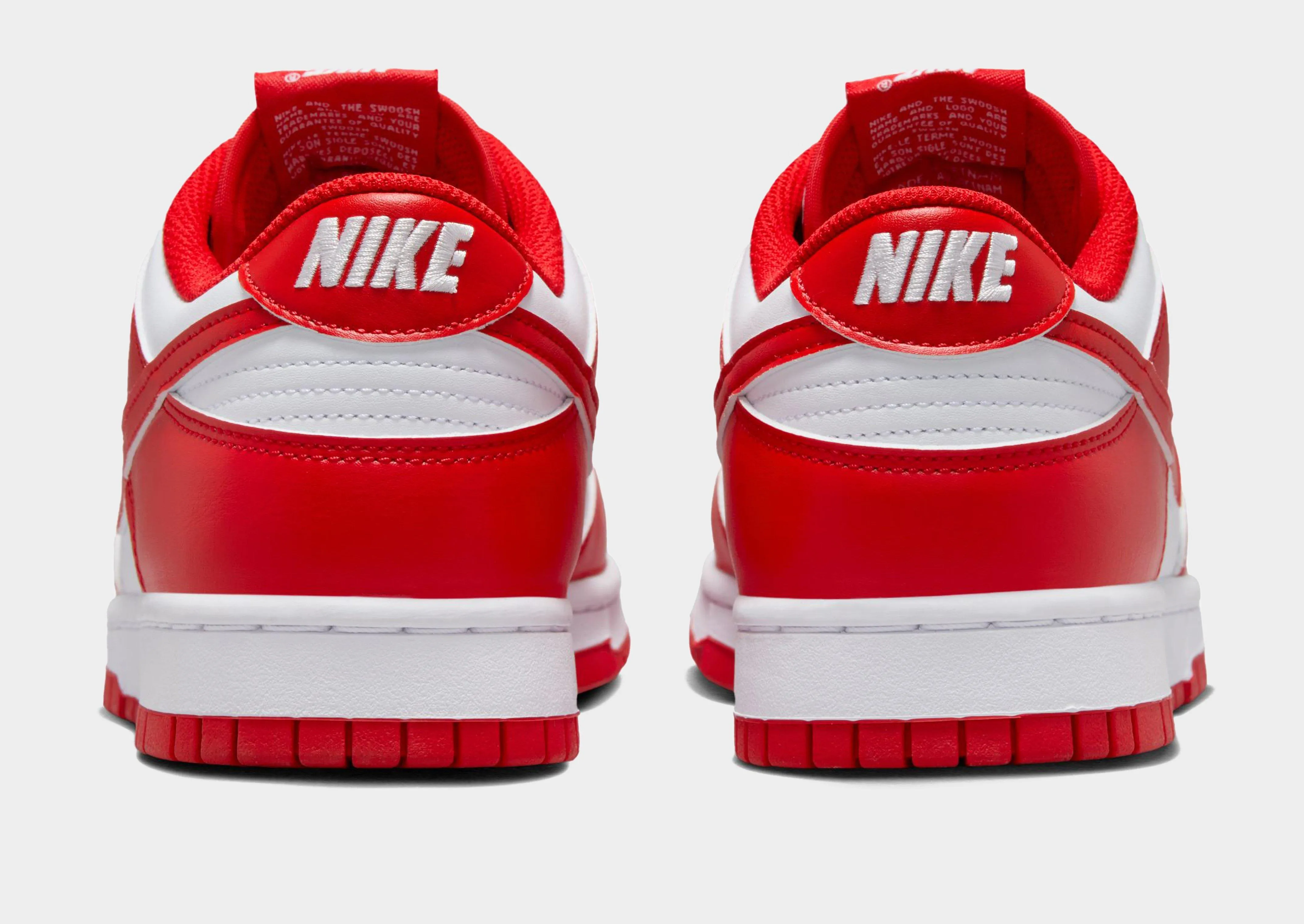 Long Standing Busy Lifestyle Dunk Low Retro