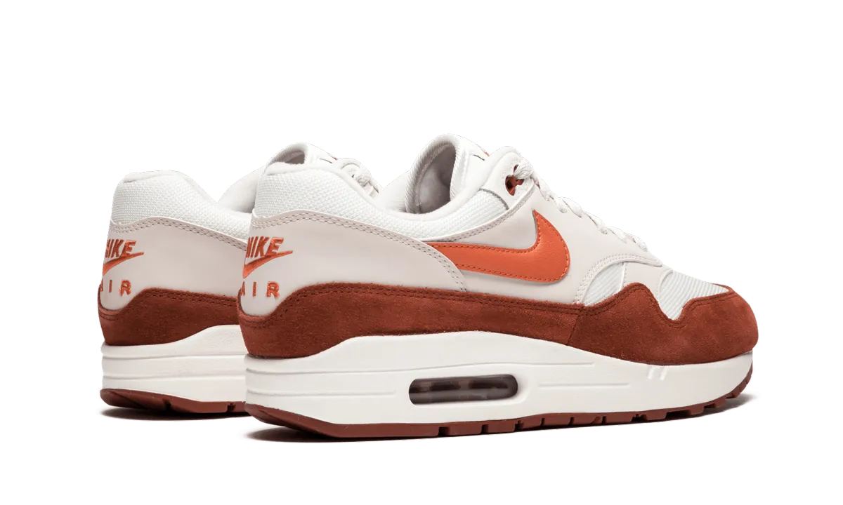 Air Max 1 contour Casual Footwear