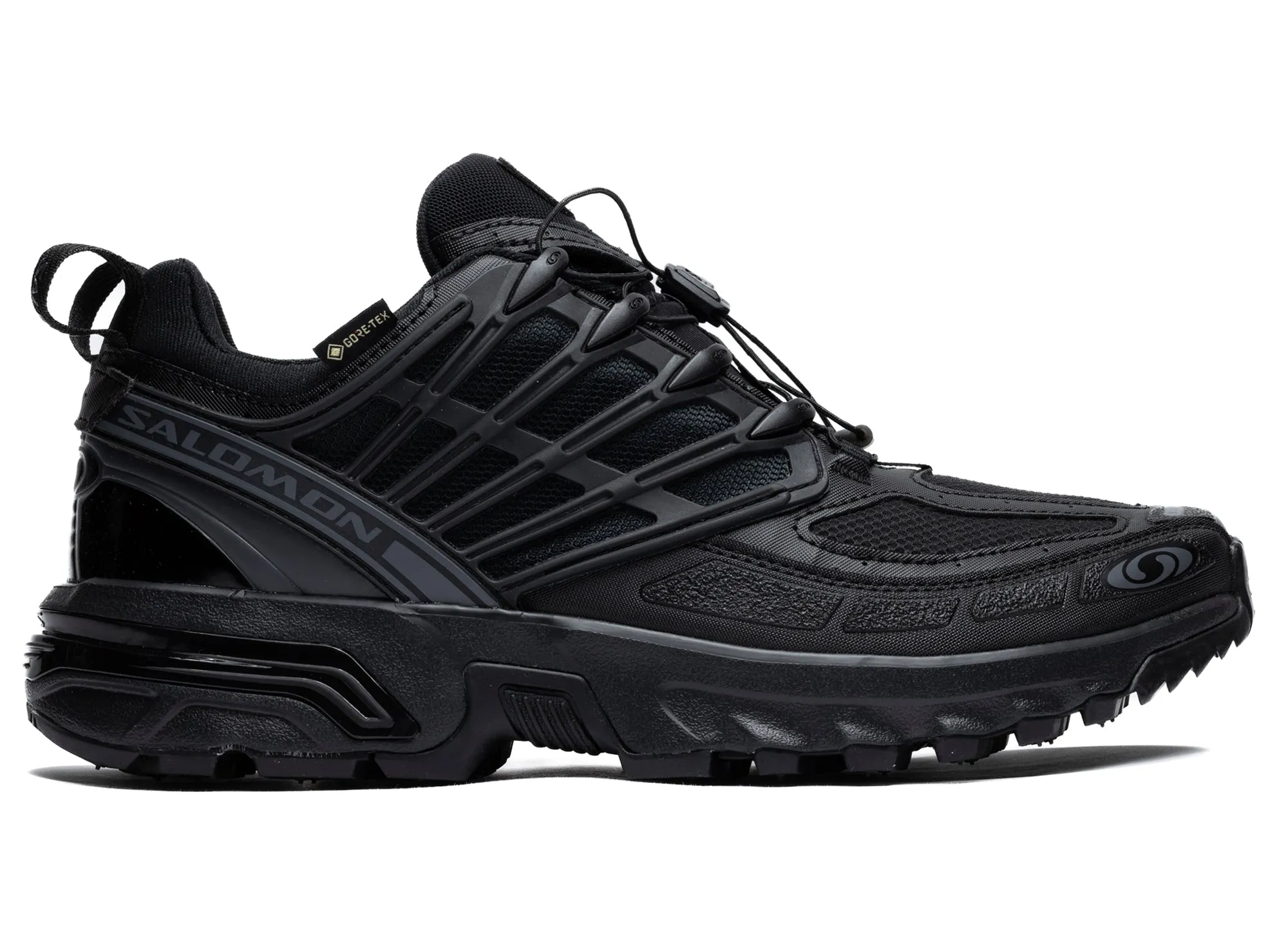 Freeze Proof Eco Friendly Backpacking Trip Salomon ACS Pro GTX