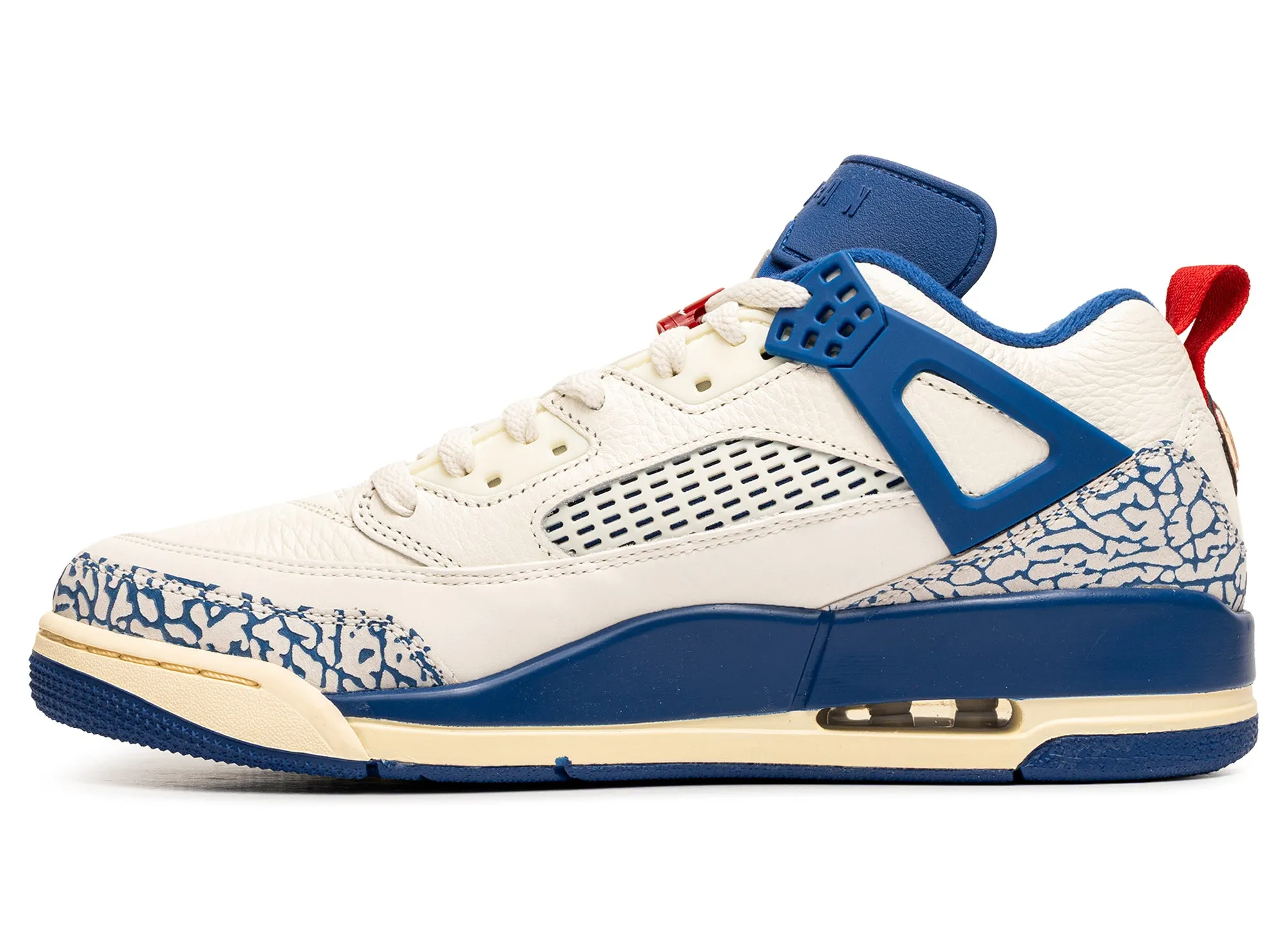 Lace Up Style Bold Tone Jordan Spizike Low