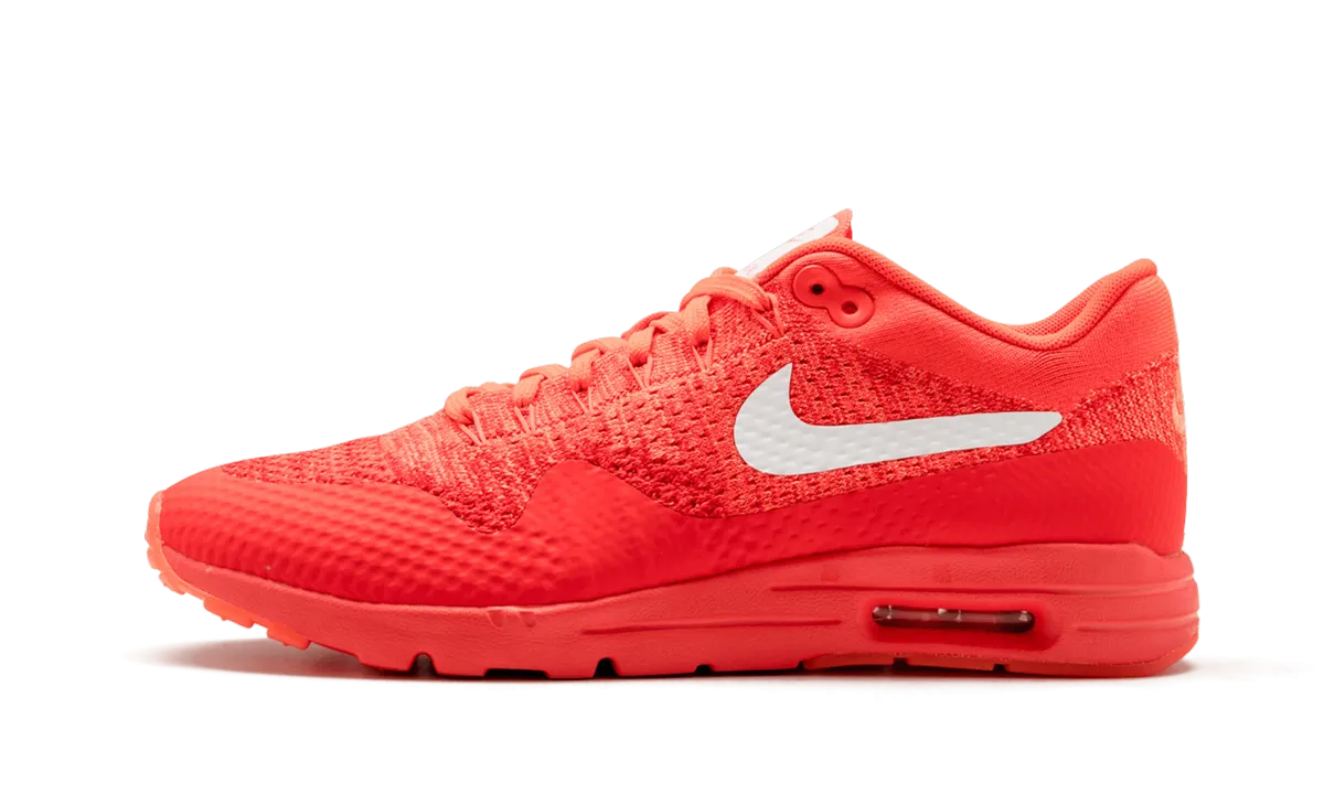 AIR MAX 1 ULTRA FLYKNIT WMNS Performance