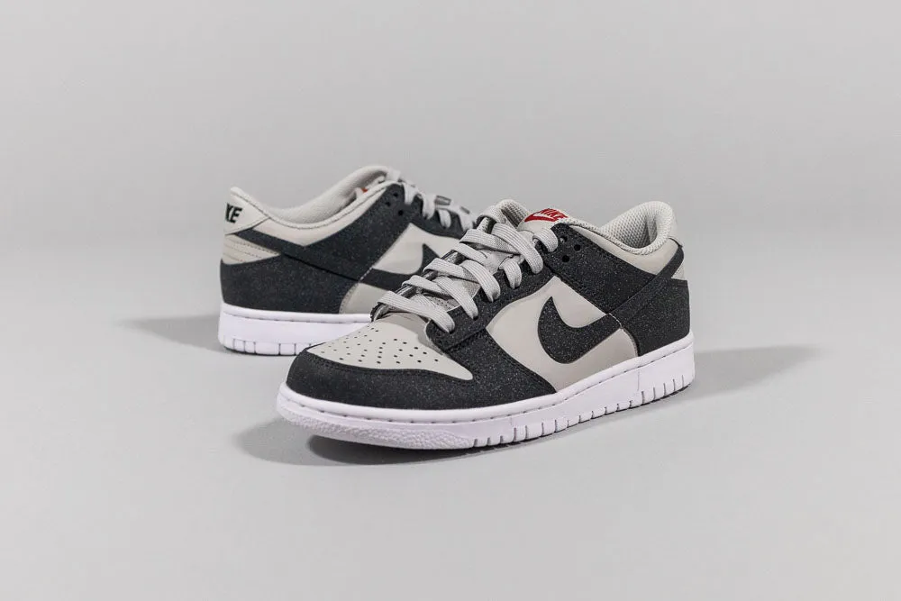 Nike Dunk Low 'Anthracite Nike' (GS) Look Walk Travel Ease