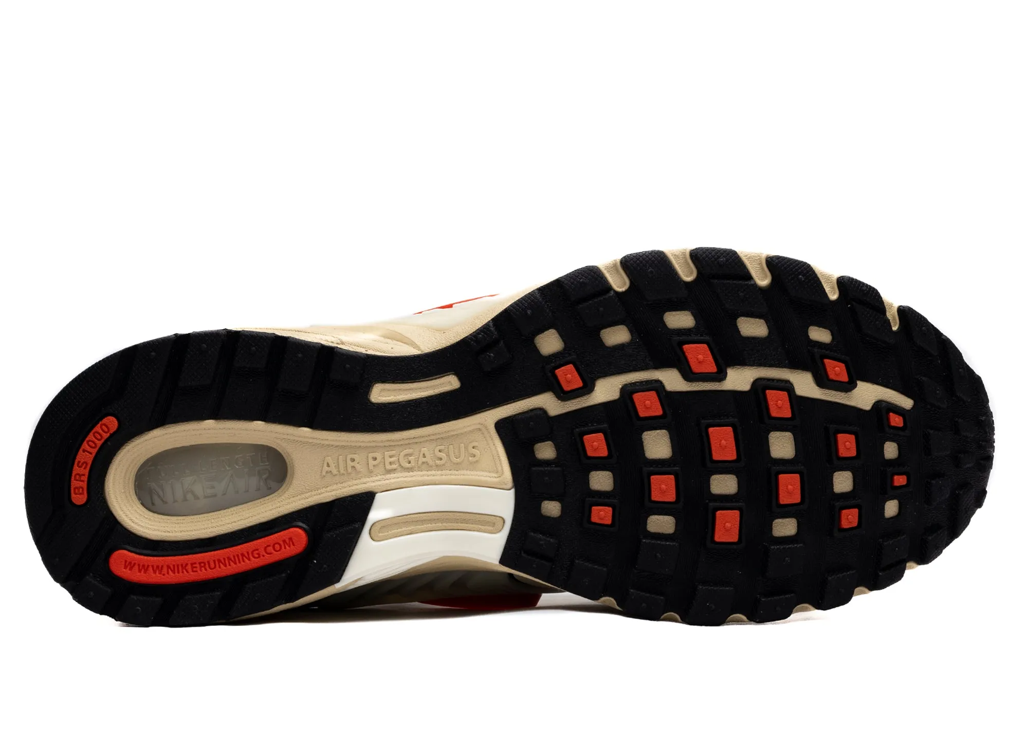 Nike Air Pegasus Wave Ventilated Mesh Travel Enthusiasts