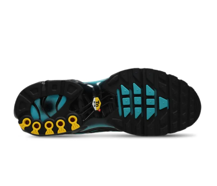 Anatomical shape Men??s Nike Air Max Plus TN (Aqua Fade)