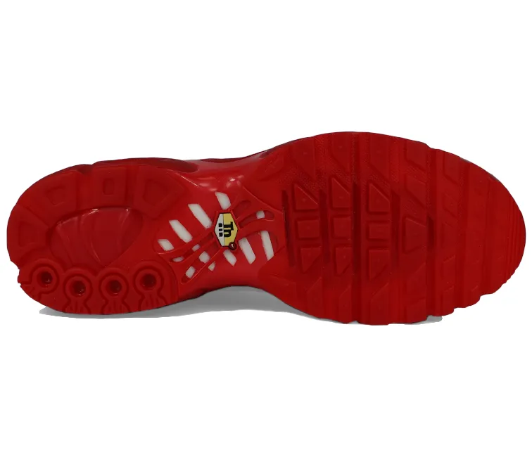 Everyday Ease Men's Nike Air Max Plus TN (Lava)