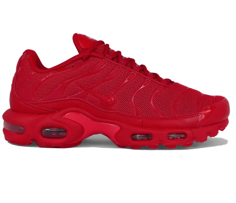 Men's Nike Air Max Plus TN (Lava) All Ground Clean Structure