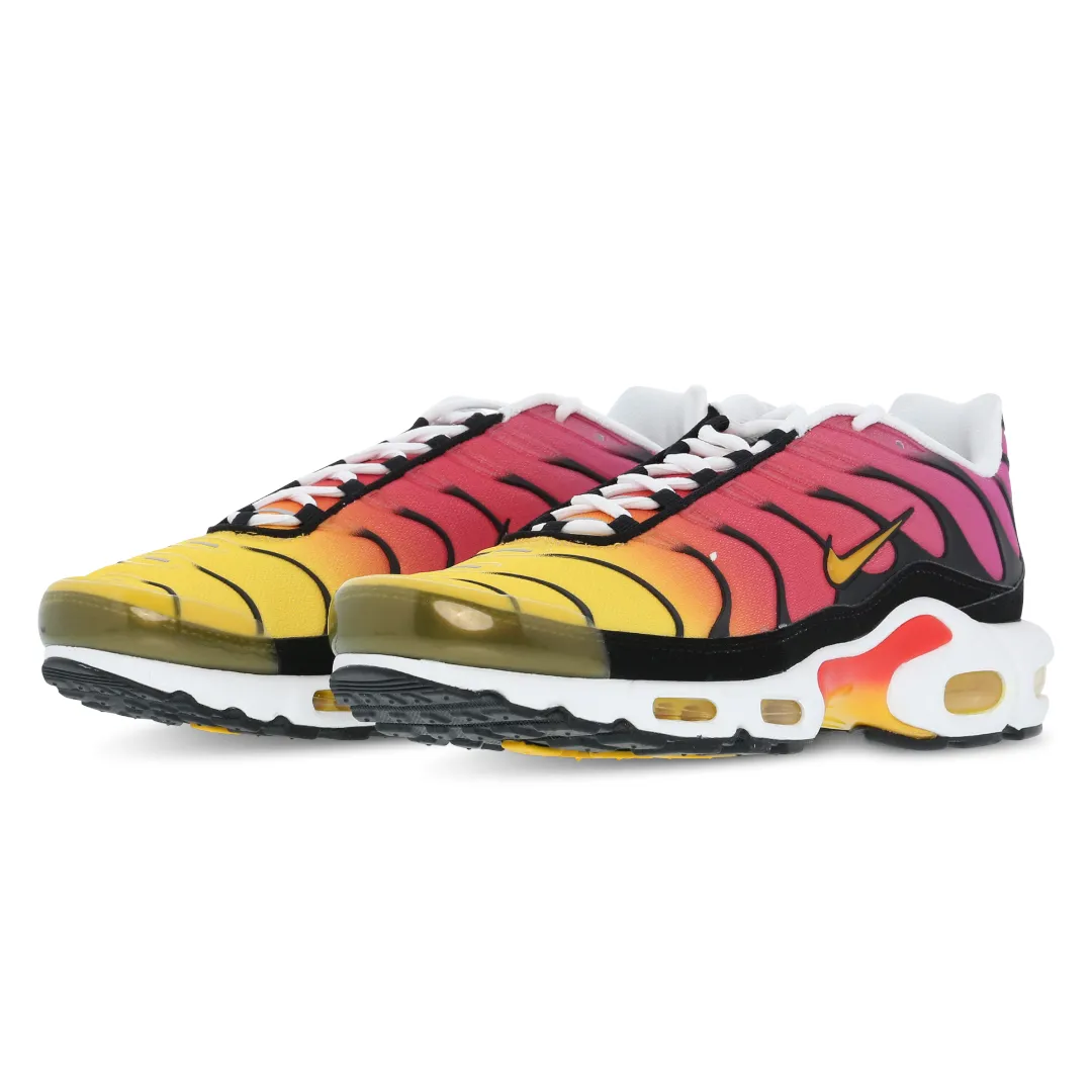 Mens Nike Air Max Plus TN Rainbow Retro Stretchy sole Walk Utility