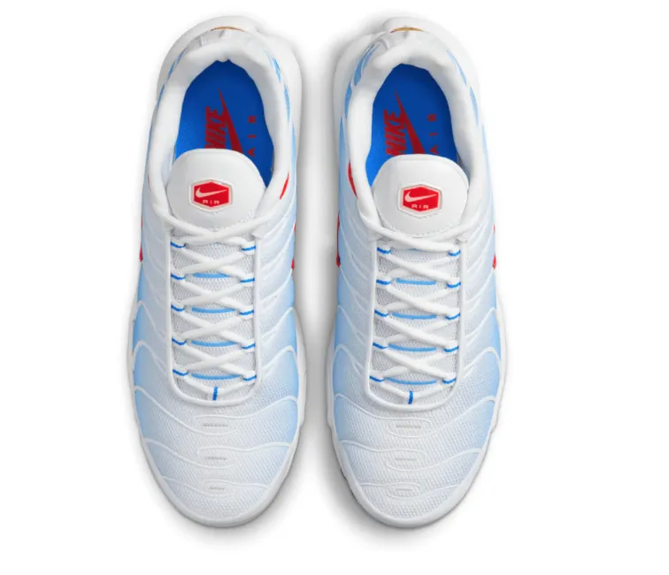 Slip On Style Comfort Style Men's Nike Air Max Plus TN (Tides)