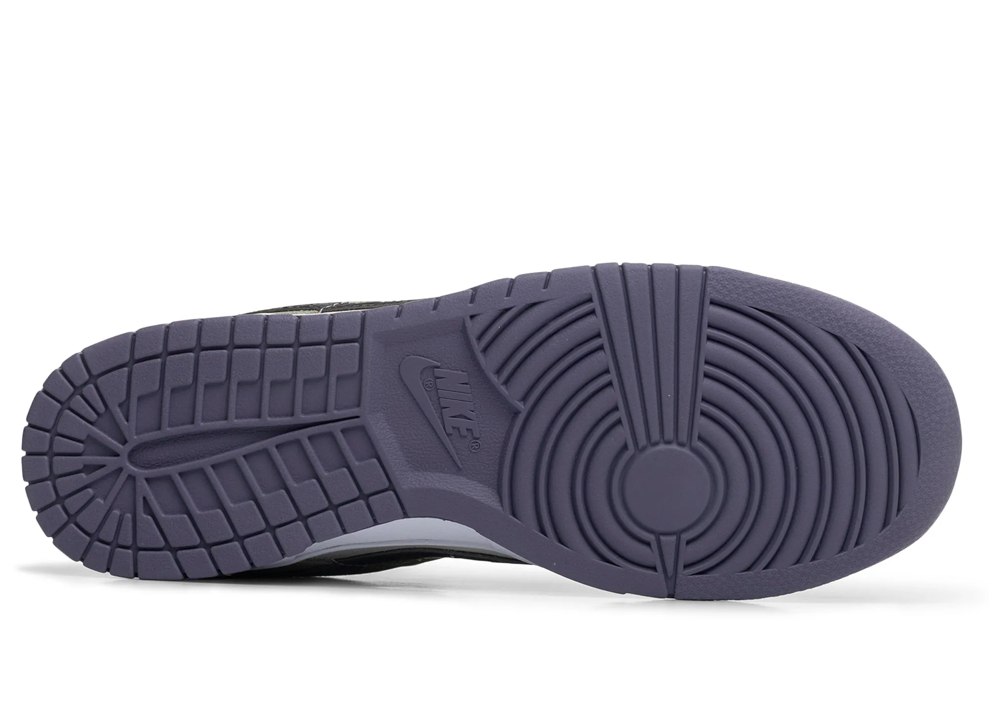 Icon Edge Garden Walk Nike Dunk Low Retro SE