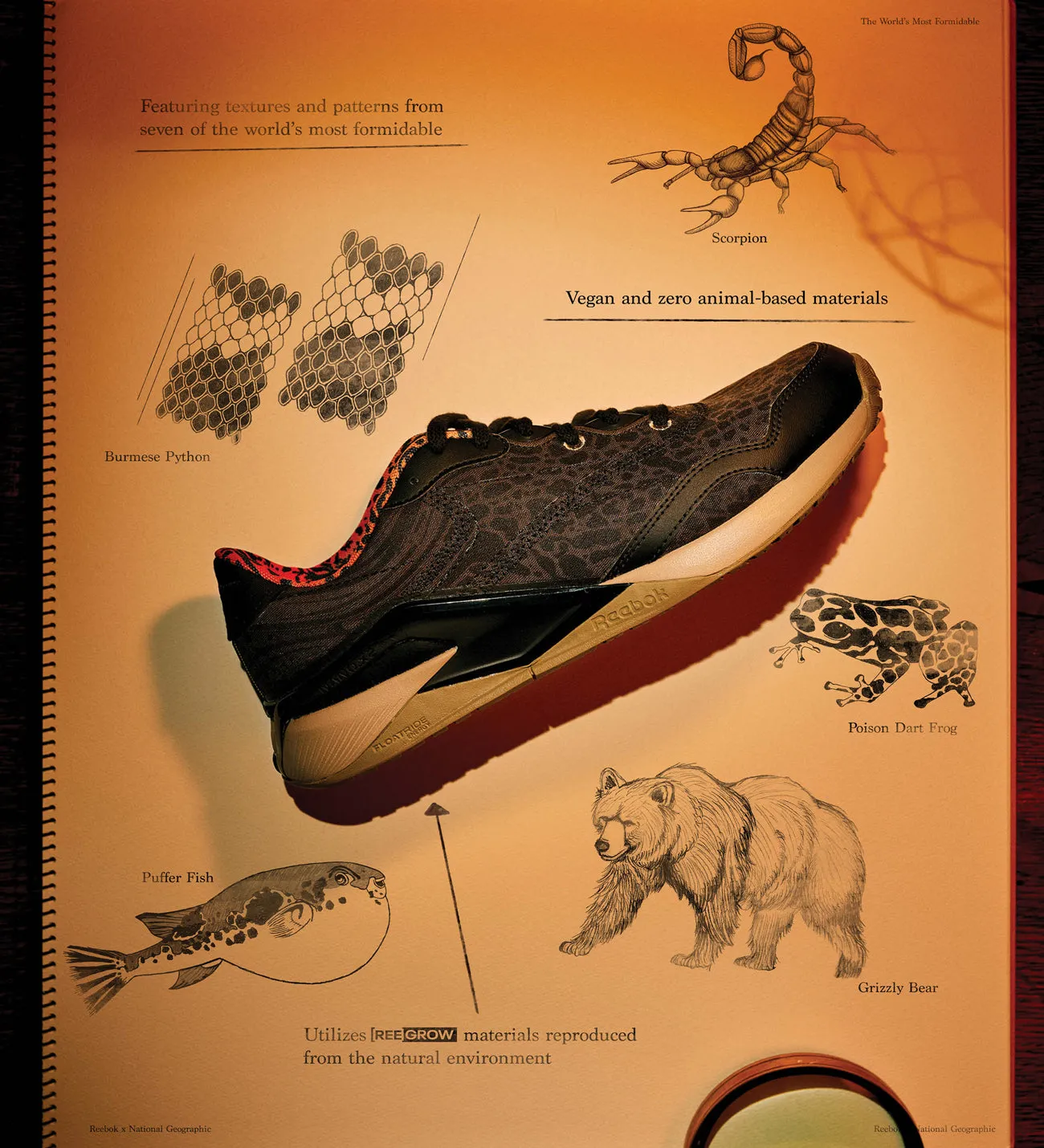 Reliable durability - brand shoes National Geographic Nano X2 Grow