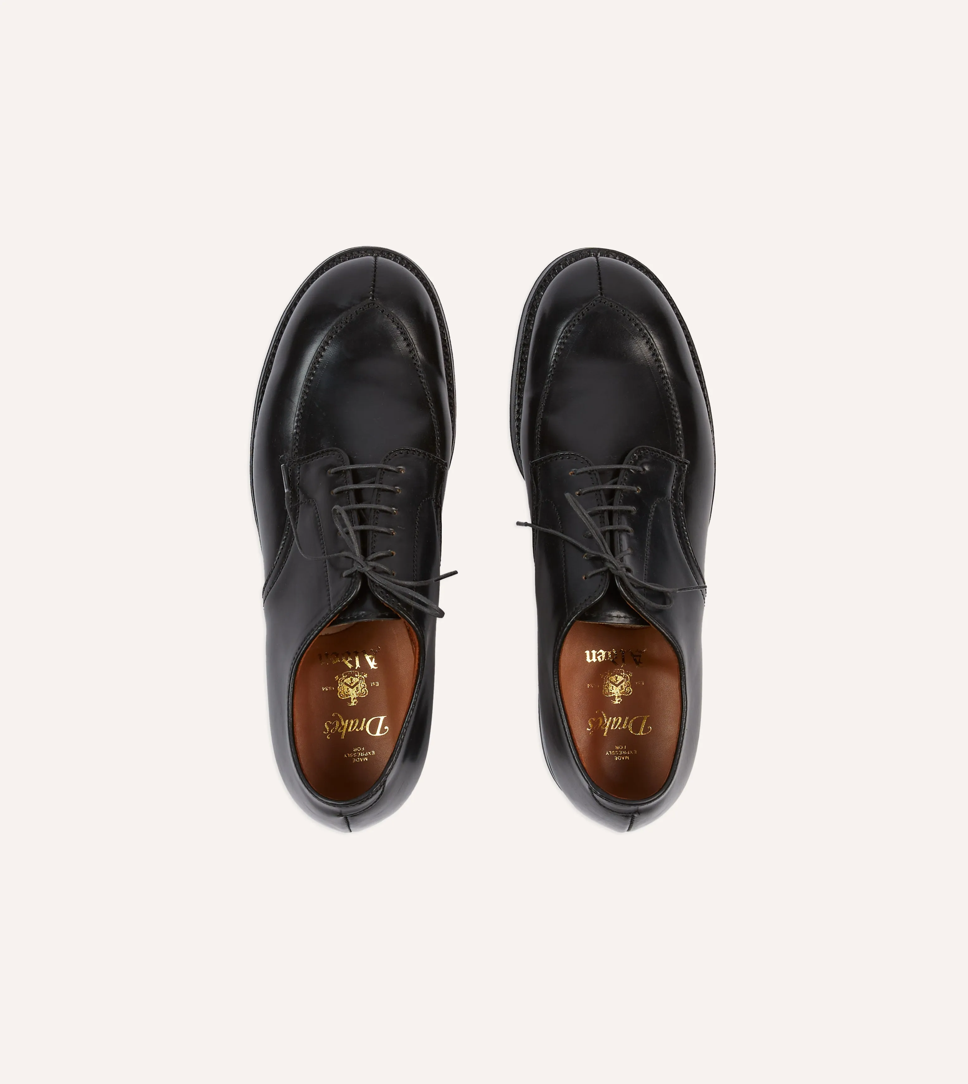 Low Heel Premium Build Alden Black Cordovan Algonquin Blucher