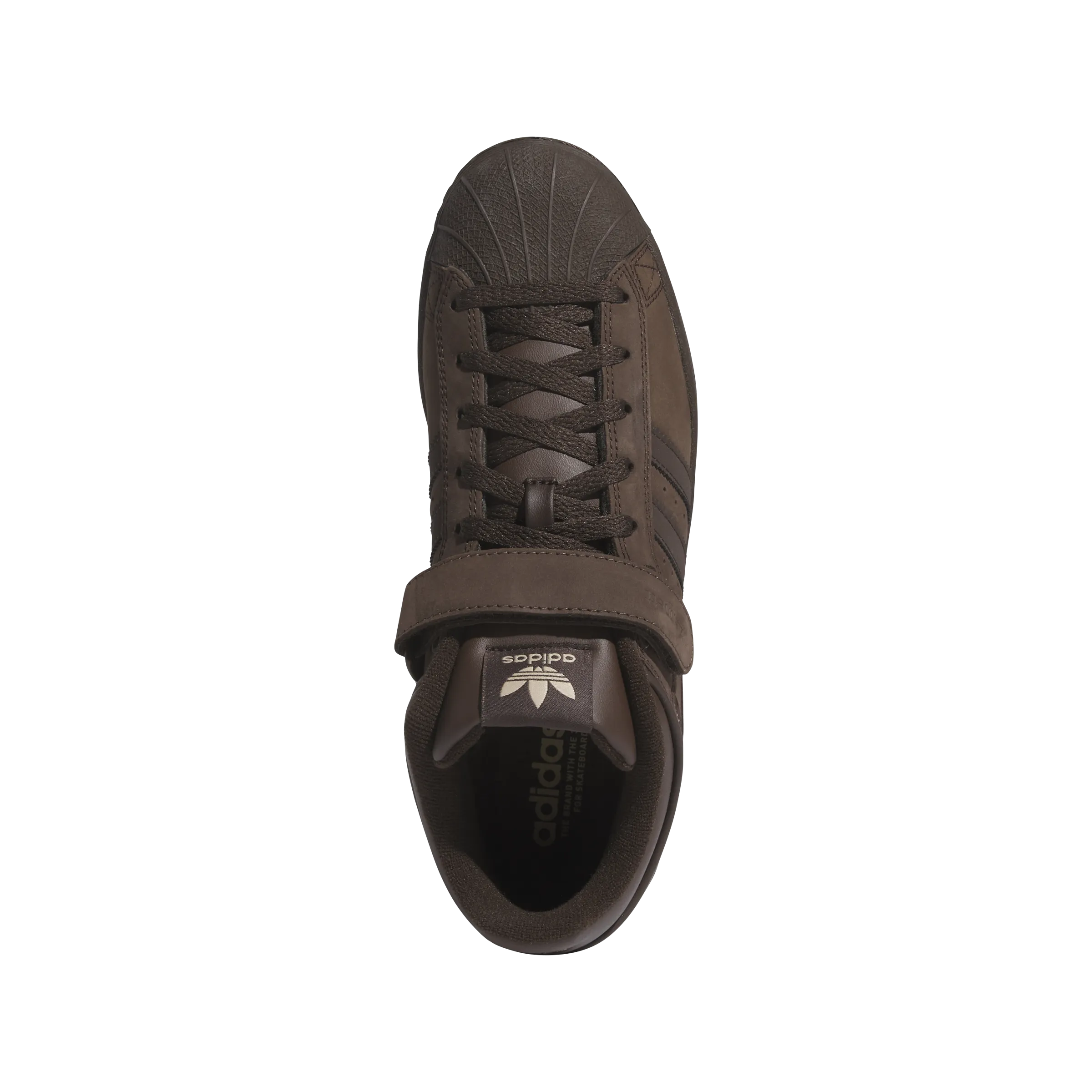   Niels Bennett Pro Shell 'Brown' extraordinary