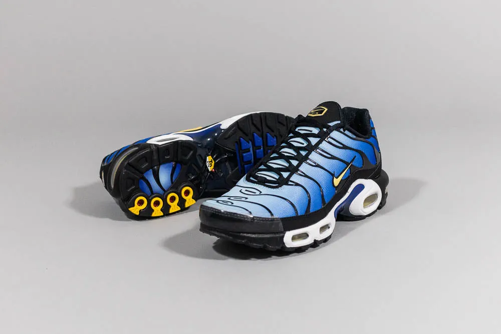 Nike Air Max Plus 'Hyper Blue' grass - field - runner