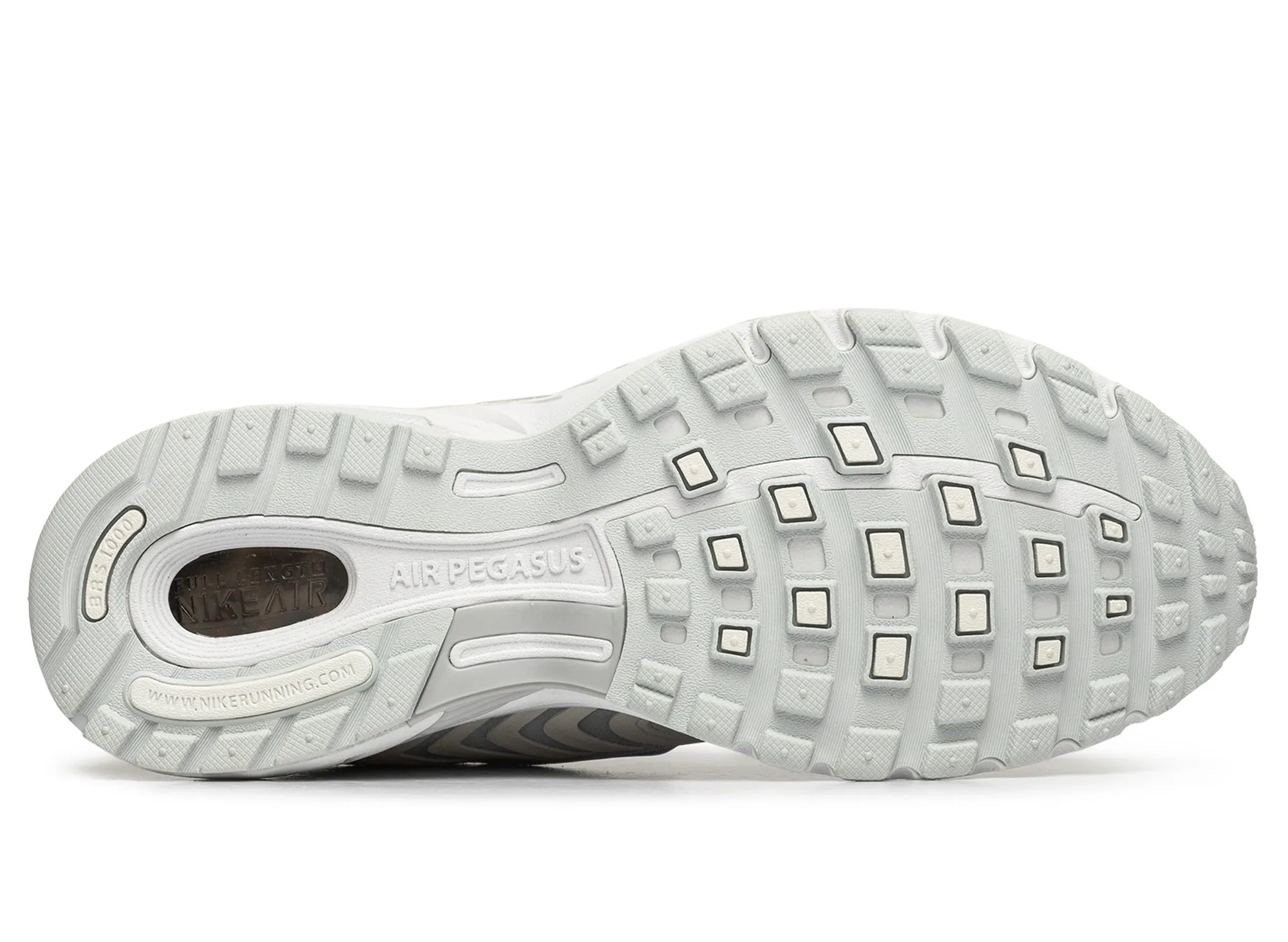 Nike Air Pegasus 2005 SE 'Platinum' Court Grip