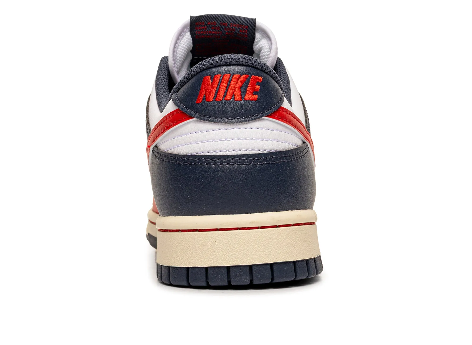 Nike Dunk Low Retro Autumn Cool