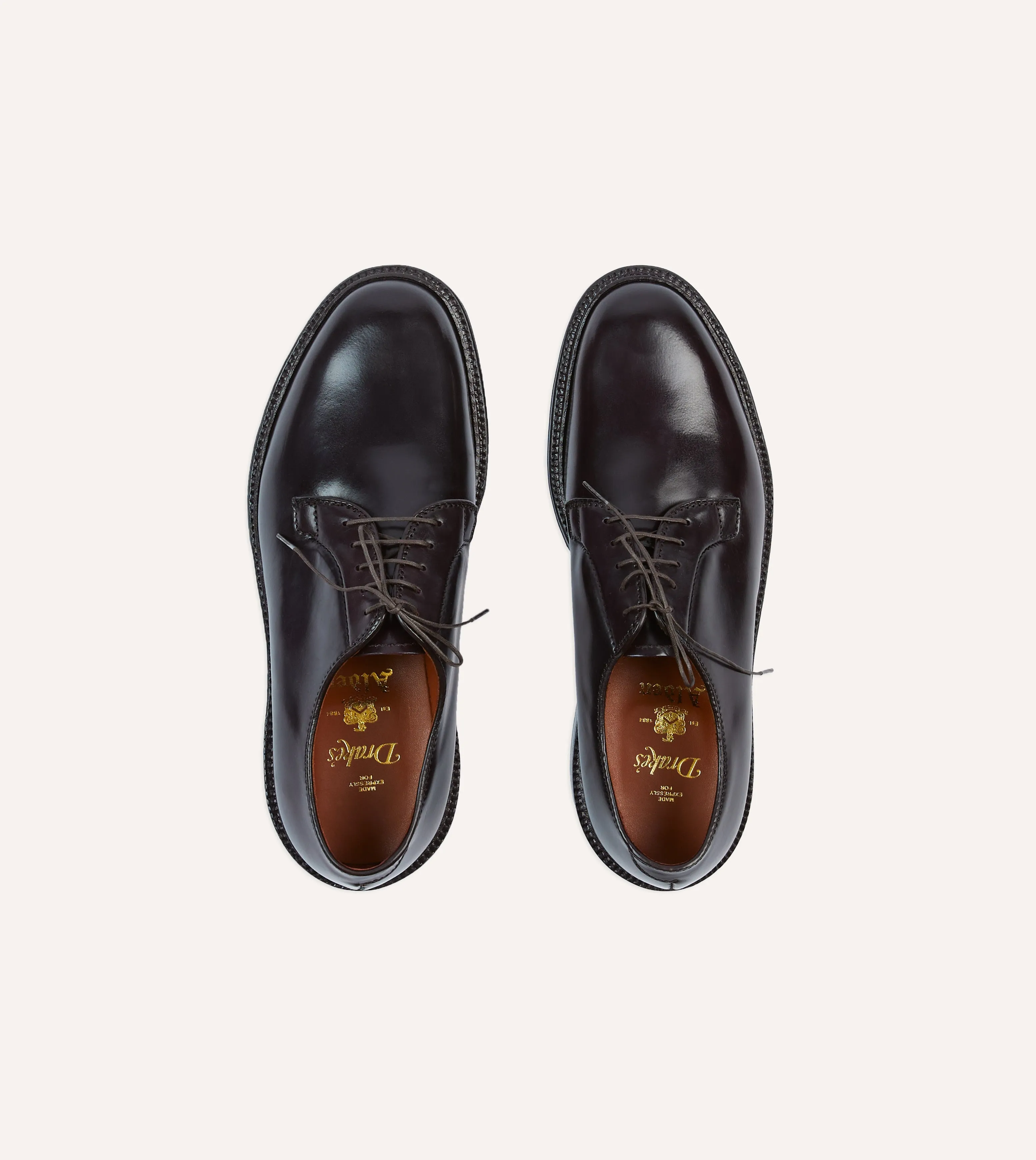 Alden Colour 8 Cordovan Plain Toe Blucher Deep Hue Routine Wear