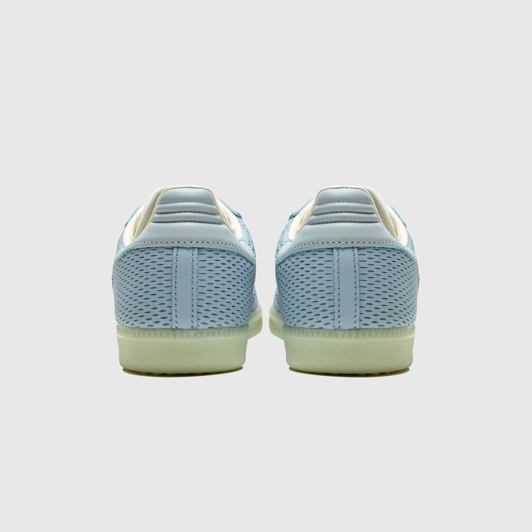 SAMBA OG Playground Ready Thickened Collar