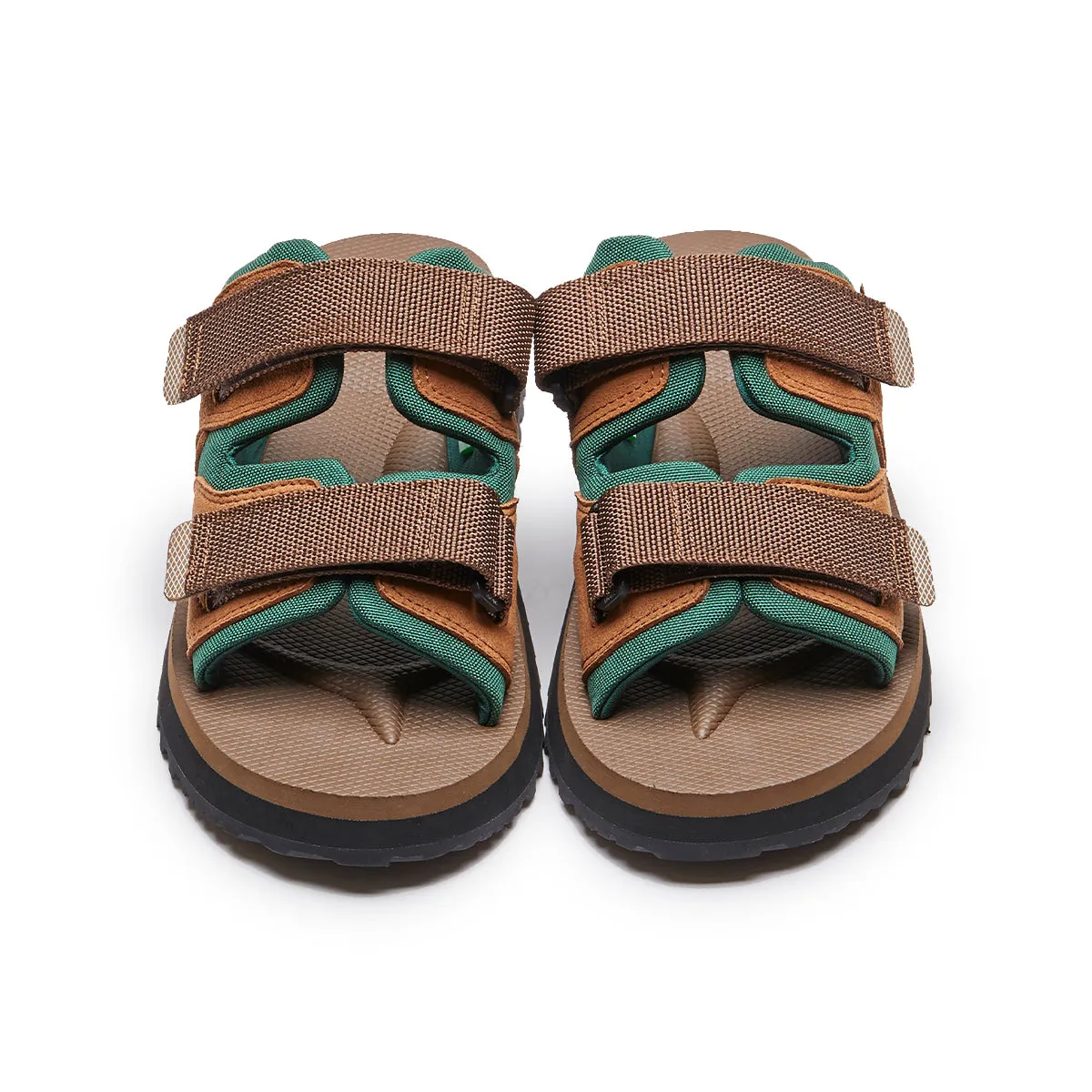 Tall MOGI-ab 'Brown Olive'