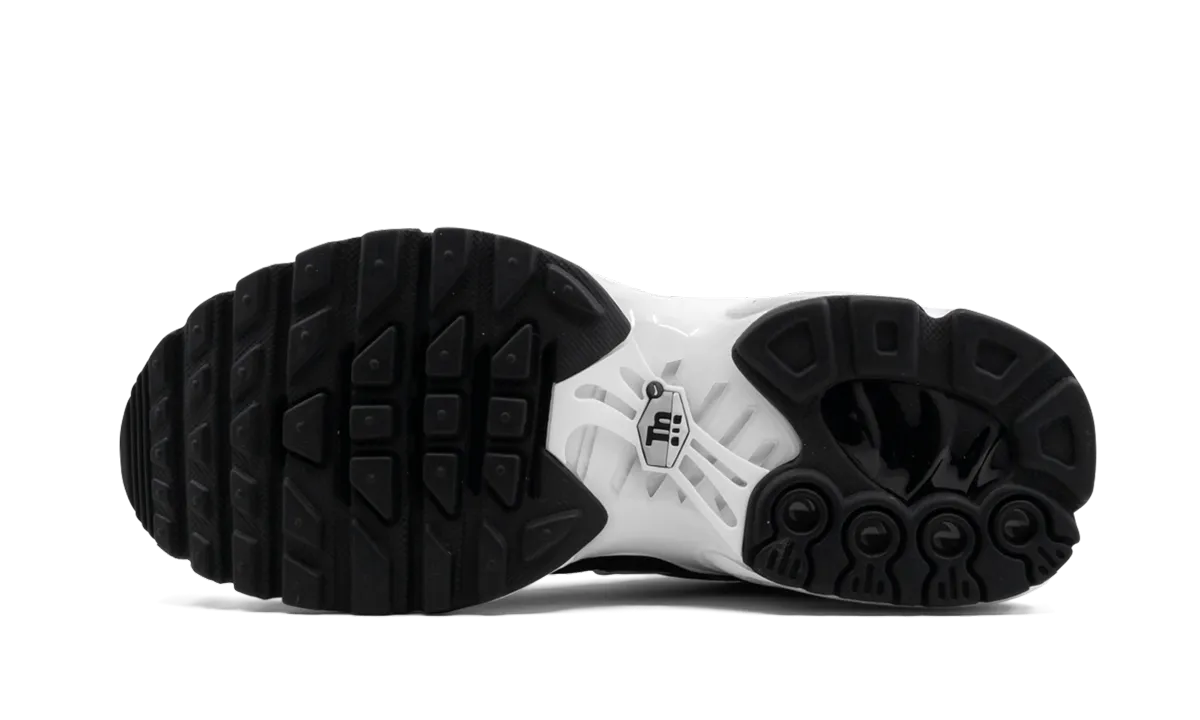 Air Max Plus GS collector's shoes