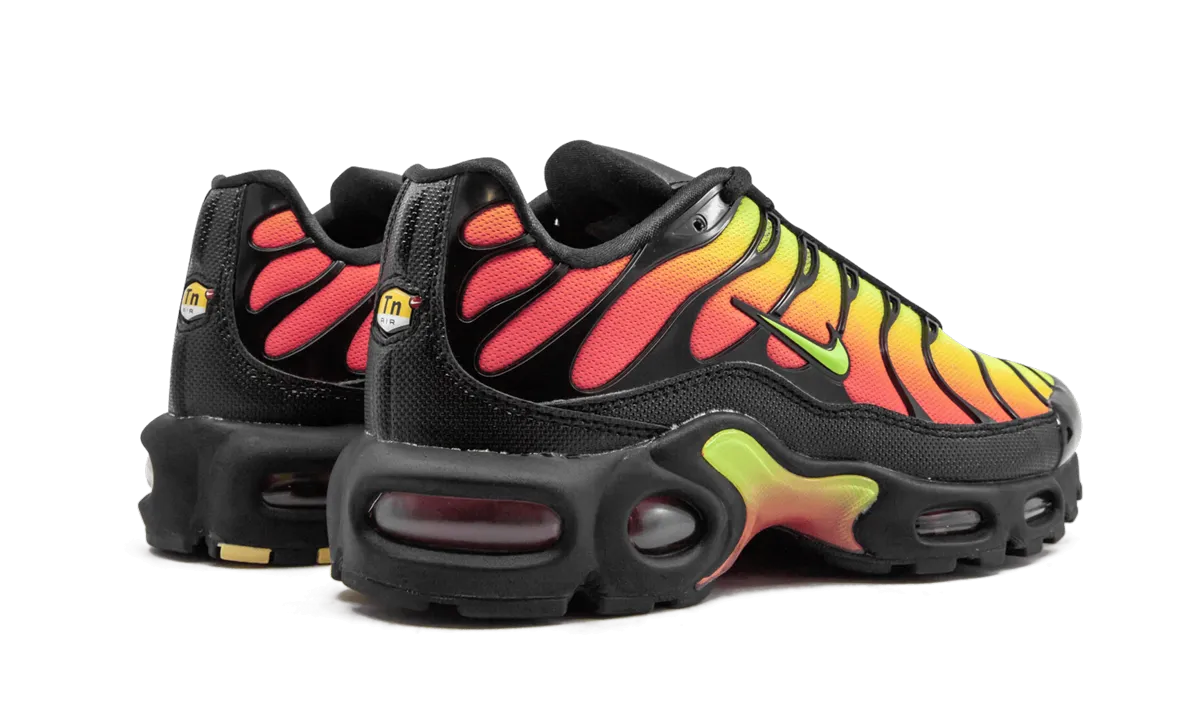 professional running gear fast - paced - runner AIR MAX PLUS TN SE MNS WMNS