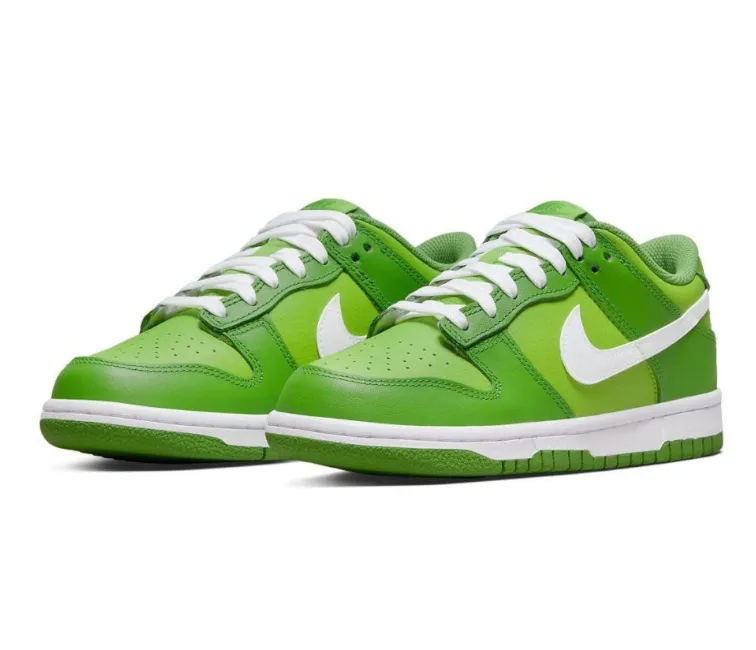 GS Nike Dunk Low (Chlorophyll) Chill Walks